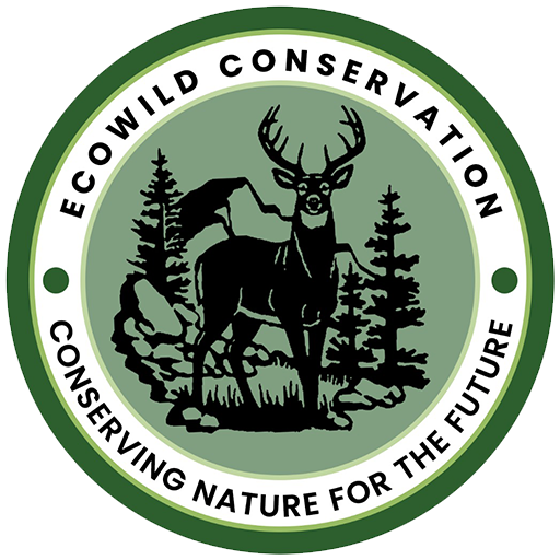 EcoWild Conservation